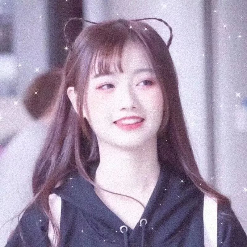 嘟嘟猫观察日记